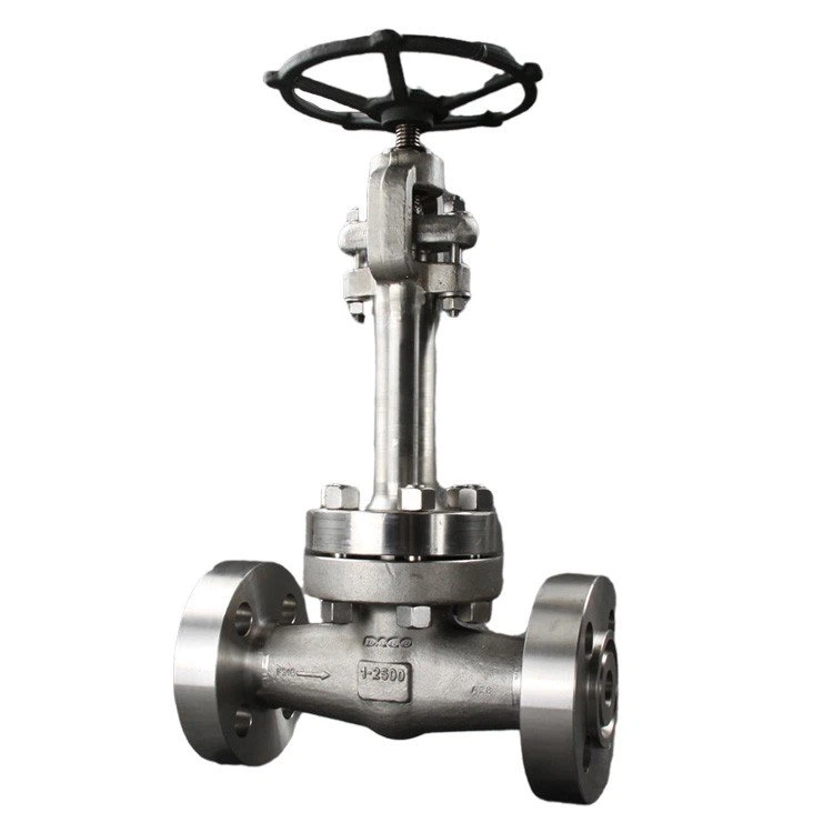 Valve globe d’application cryogénique