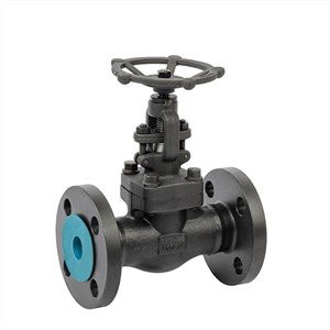 Bonney Forge Globe Valve