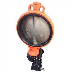 Valves papillon concentriques bray